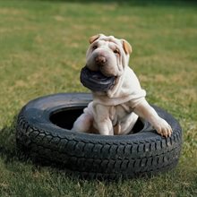 Kong Extreme Tire S 9x9x3cm