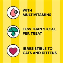 Dreamies Shake-ups Multivitamin Seafood 55g
