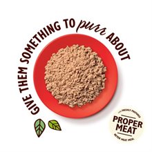 Lily´s Cat Organic Beef Paté 85g