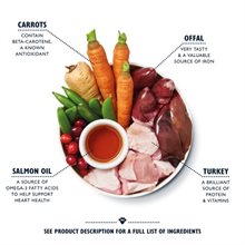 Lily´s Senior Dog Turkey Recipe 400g 