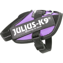 Julius-K9 IDC Sele lila