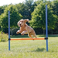 Agility hopphinder