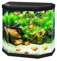 Akvarium Ciano 30 svart, 25 liter