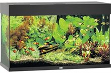 Juwel Rio 125 LED Akvarium flera färger