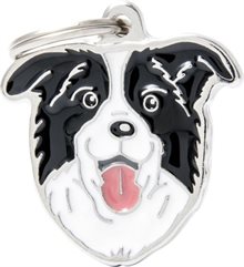 ID-bricka Border Collie