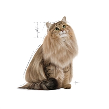 Royal Canin Våtfoder Hairball care i sås 85g