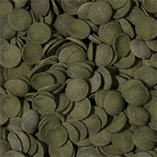 Tropical Greeen Algae Wafers 250ml/113g