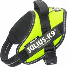 Julius-K9 IDC Sele neongrön