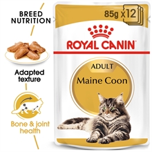 Royal Canin Våtfoder Main Coon i sås 12x85g