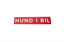 Hund i bil Magnet