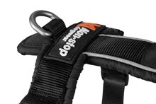 Non-Stop Line Harness 5.0 Blue, flera storlekar