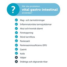 Mera Vital Dog Gastro Intestinal 3kg