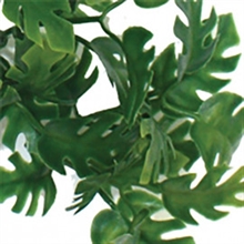 Konstväxt slingerväxt Split Philodendron, flera längder
