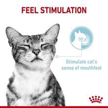 Royal Canin Våtfoder Sensory Mix 12x85g