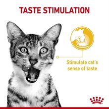 Royal Canin Våtfoder Sensory Taste 85g