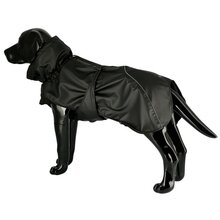 regntacke-svart-hund
