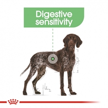 royal-canin-maxi-digestive-care-p45707-fa