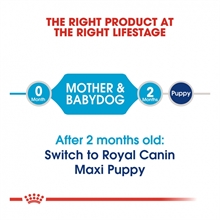 royal-canin-maxi-starter-mother-babydog-00