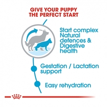 royal-canin-maxi-starter-mother-babydog-9e