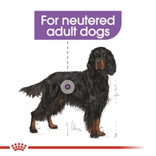 royal-canin-maxi-sterilised-adult-5b