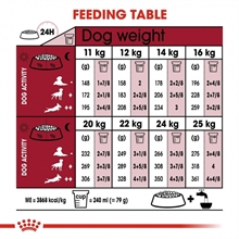 royal-canin-medium-ageing-10-5e