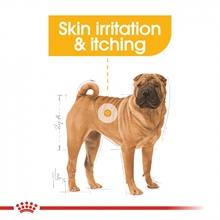 royal-canin-medium-dermacomfort-cb