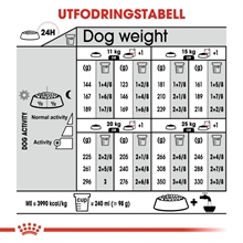 royal-canin-medium-digestive-care-02