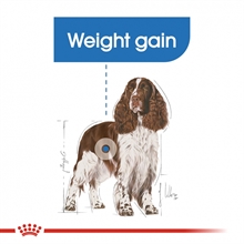 royal-canin-medium-light-weightcare-44