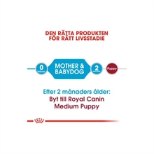 royal-canin-medium-starter-bdGK1i