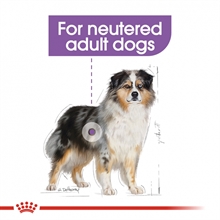 royal-canin-medium-sterilised-adult-6a