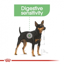 royal-canin-mini-digestive-care-p45706-cf