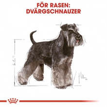 royal-canin-mini-schnauzer-8a