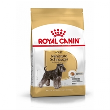 royal-canin-mini-schnauzer-c1