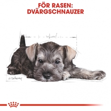 royal-canin-mini-schnauzer-junior-15kg-bd