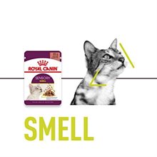 Royal Canin Våtfoder Sensory smell 12x85g