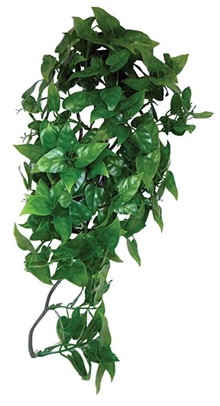 Konstväxt slingerväxt Philodendron, flera längder