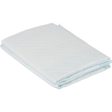 Puppy training pad 45x60cm 20-p (w. attractant)