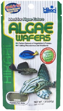 Hikari Algae wafers