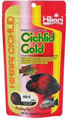 Hikari Cichlid gold mini