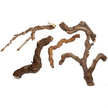 Winewood S 20-40cm